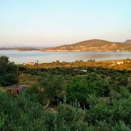 Casa vacanze Greenery Sea View House